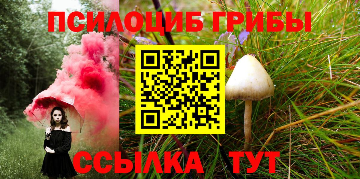 Псилоцибиновые грибы GOLDEN TEACHER  Вход с VPN  Галлюциногенные грибы ЛСД  где найти   Петропавловск-Камчатский 