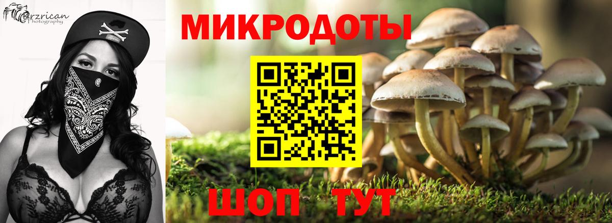 Галлюциногенные грибы MAGIC MUSHROOMS Петропавловск-Камчатский